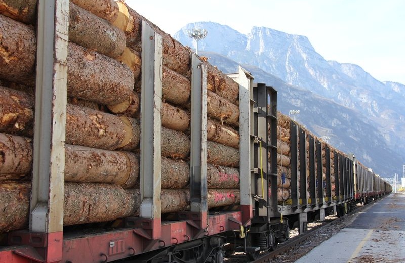 train with logs