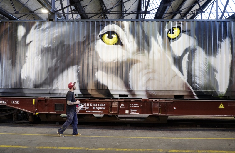 Wolf Container