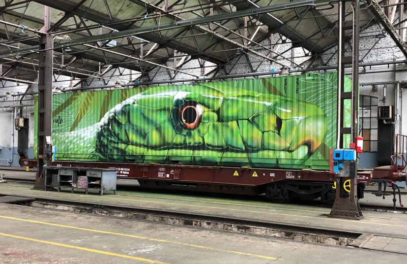 Snake Container